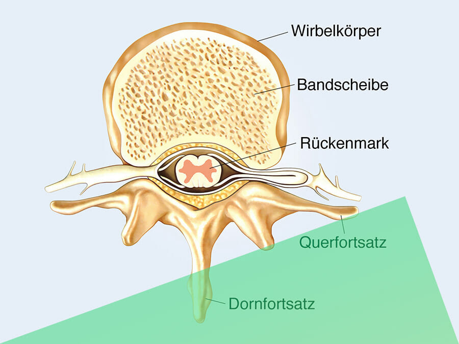 Die Bandscheiben fit halten