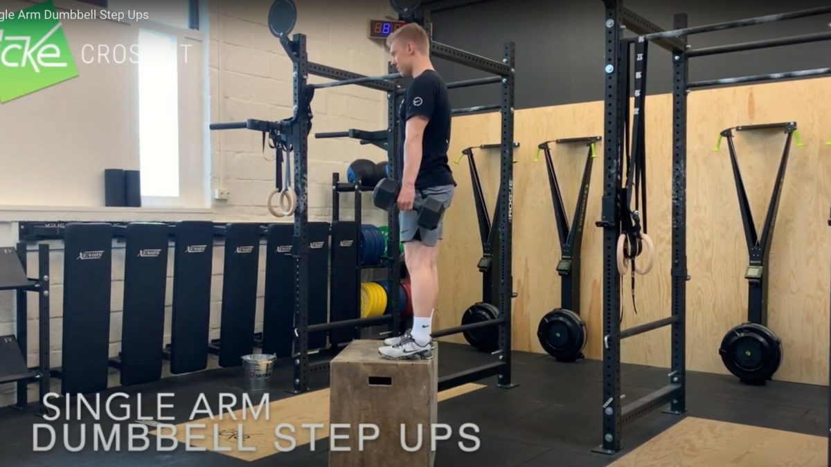 Single Arm Dumbbell Step-Up - Technikvideo