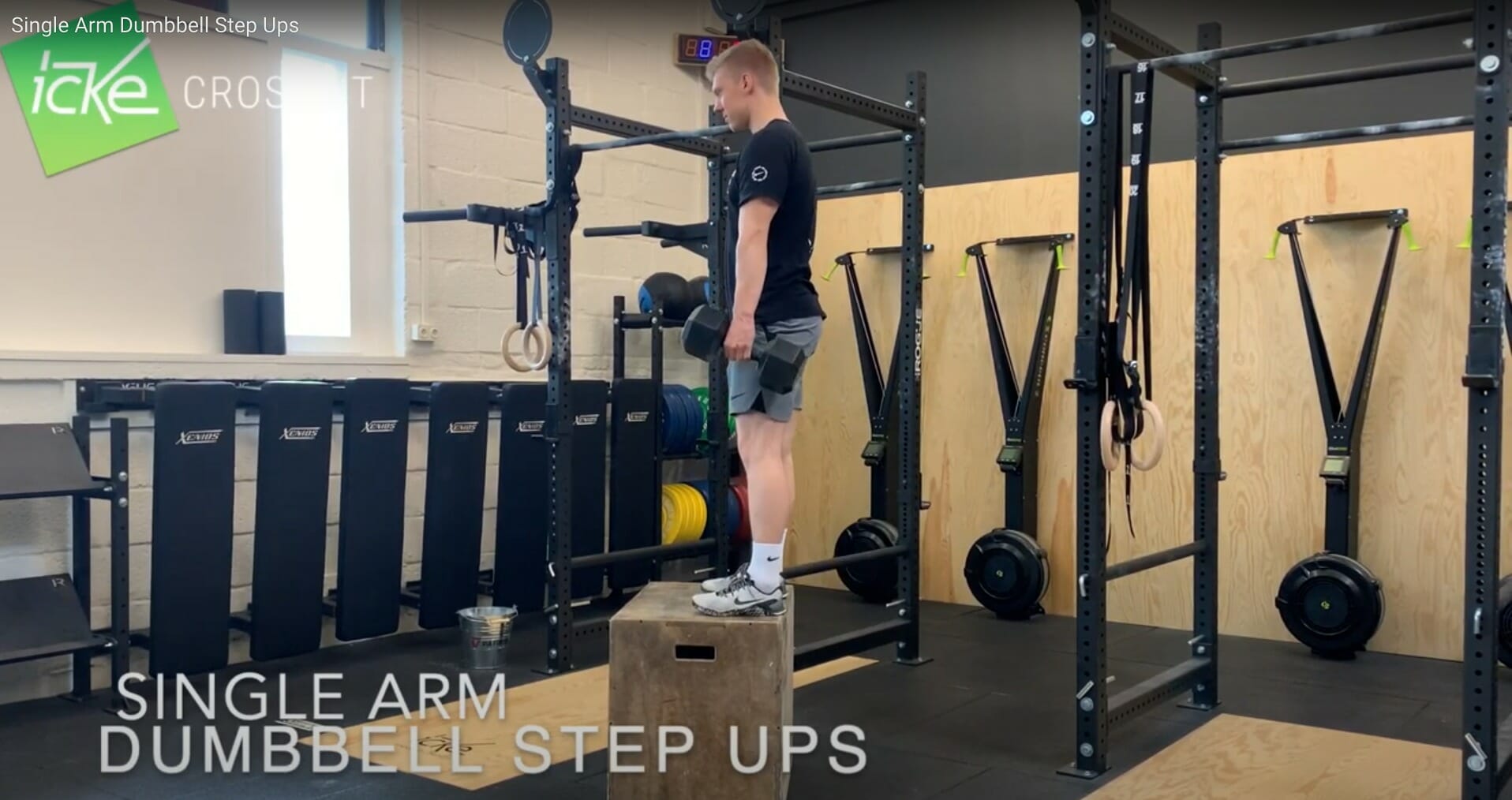 Single Arm Dumbbell Step-Up - Technikvideo