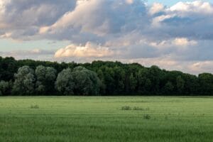 Ganzheitlicher Ansatz bei Hyper-Wellness - Agrihoods